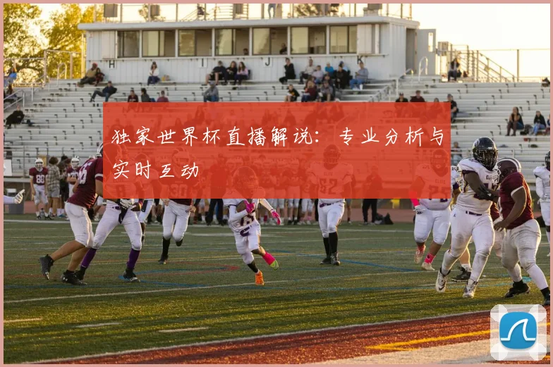 独家世界杯直播解说：专业分析与实时互动