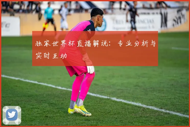 独家世界杯直播解说:专业分析与实时互动