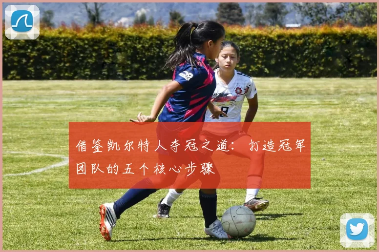 借鉴凯尔特人夺冠之道：打造冠军团队的五个核心步骤